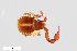  ( - ZFMK-TIS-2520990)  @11 [ ] CreativeCommons  Attribution Share-Alike (by-sa) 4.0 (2015) Unspecified Zoologisches Forschungsmuseum Alexander Koenig