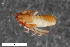  ( - ZFMK-TIS-2553342)  @11 [ ] CreativeCommons  Attribution Share-Alike (by-sa) 4.0 (2016) Unspecified Zoologisches Forschungsmuseum Alexander Koenig