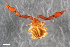  ( - ZFMK-TIS-2555767)  @11 [ ] CreativeCommons  Attribution Share-Alike (by-sa) 4.0 (2015) Unspecified Zoologisches Forschungsmuseum Alexander Koenig