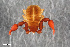  ( - ZFMK-TIS-2555771)  @11 [ ] CreativeCommons  Attribution Share-Alike (by-sa) 4.0 (2015) Unspecified Zoologisches Forschungsmuseum Alexander Koenig