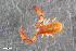  ( - ZFMK-TIS-2555795)  @11 [ ] CreativeCommons  Attribution Share-Alike (by-sa) 4.0 (2015) Unspecified Zoologisches Forschungsmuseum Alexander Koenig