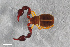  ( - ZFMK-TIS-2568734)  @11 [ ] CreativeCommons  Attribution Share-Alike (by-sa) 4.0 (2017) Unspecified Zoologisches Forschungsmuseum Alexander Koenig