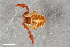  ( - ZFMK-TIS-2586557)  @11 [ ] CreativeCommons  Attribution Share-Alike (by-sa) 4.0 (2018) Unspecified Zoologisches Forschungsmuseum Alexander Koenig