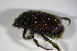  ( - GBOL_Col_FK_4489)  @11 [ ] CreativeCommons - Attribution Non-Commercial Share-Alike (2015) Unspecified SNSB, Zoologische Staatssammlung Muenchen