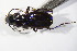  ( - GBOL_Col_FK_09307)  @11 [ ] CreativeCommons - Attribution Non-Commercial Share-Alike (2015) Unspecified SNSB, Zoologische Staatssammlung Muenchen