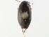  ( - CHARS00504-D07)  @11 [ ] CreativeCommons - Attribution (2020) CBG Photography Group Centre for Biodiversity Genomics
