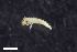  ( - ZFMK-TIS-2568322)  @12 [ ] CreativeCommons  Attribution Share-Alike (by-sa) 4.0 (2017) Unspecified Zoologisches Forschungsmuseum Alexander Koenig
