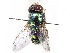  ( - gvcT08454)  @11 [ ] CreativeCommons - Attribution Non-Commercial (2016) Graeme V. Cocks Unspecified