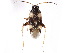  ( - gvcT08675)  @13 [ ] CreativeCommons - Attribution Non-Commercial (2017) Graeme V. Cocks Unspecified