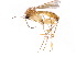  ( - gvcT08700)  @14 [ ] CreativeCommons - Attribution Non-Commercial (2017) Graeme V. Cocks Unspecified