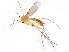  ( - gvcT08701)  @13 [ ] CreativeCommons - Attribution Non-Commercial (2017) Graeme V. Cocks Unspecified
