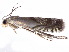  ( - gvcT08742)  @12 [ ] CreativeCommons - Attribution Non-Commercial (2017) Graeme V. Cocks Unspecified