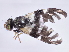  ( - gvcT10931)  @11 [ ] CreativeCommons - Attribution Non-Commercial (2017) Graeme V. Cocks Unspecified