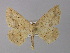  ( - BC ZSM Lep 04138)  @14 [ ] CreativeCommons - Attribution Non-Commercial Share-Alike (2010) Unspecified SNSB, Zoologische Staatssammlung Muenchen