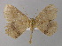  ( - BC ZSM Lep 04170)  @13 [ ] CreativeCommons - Attribution Non-Commercial Share-Alike (2010) Unspecified SNSB, Zoologische Staatssammlung Muenchen