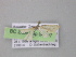  ( - BC ZSM Lep 04197)  @12 [ ] CreativeCommons - Attribution Non-Commercial Share-Alike (2010) Unspecified SNSB, Zoologische Staatssammlung Muenchen