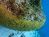  ( - SF2022_M8)  @11 [ ] Copyright (2025) Catalina Gomez-Cubillos Institute of Studies in Marine Sciencies, Universidad Nacional de Colombia - Caribbean campus