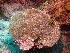  ( - SF2022_M103)  @11 [ ] Copyright (2025) Catalina Gomez-Cubillos Institute of Studies in Marine Sciencies, Universidad Nacional de Colombia - Caribbean campus