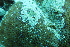  ( - SF2021_M20)  @11 [ ] Copyright (2025) Catalina Gomez-Cubillos Institute of Studies in Marine Sciencies, Universidad Nacional de Colombia - Caribbean campus