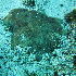  ( - SF2021_M4)  @11 [ ] Copyright (2025) Catalina Gomez-Cubillos Institute of Studies in Marine Sciencies, Universidad Nacional de Colombia - Caribbean campus