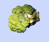  ( - 11BAE_SP-0070)  @11 [ ] CreativeCommons  Attribution Non-Commercial Share-Alike (2019) Dzmitry Lukashanets SPC of the NAS of Belarus for Bioresources