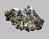  ( - 11BAE_SP-0074)  @11 [ ] CreativeCommons  Attribution Non-Commercial Share-Alike (2019) Dzmitry Lukashanets SPC of the NAS of Belarus for Bioresources