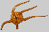  ( - 11BAE_SP-0507)  @11 [ ] CreativeCommons  Attribution Non-Commercial Share-Alike (2019) Dzmitry Lukashanets SPC of the NAS of Belarus for Bioresources