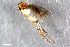  ( - ZFMK-TIS-2529552)  @11 [ ] CreativeCommons  Attribution Share-Alike (by-sa) 384 (2015) Unspecified Zoologisches Forschungsmuseum Alexander Koenig