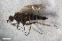  ( - ZFMK-TIS-2547316)  @11 [ ] CreativeCommons  Attribution Share-Alike (by-sa) 384 (2018) Unspecified Zoologisches Forschungsmuseum Alexander Koenig