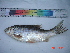  ( - PDND01)  @13 [ ] Unspecified (default): All Rights Reserved  Unspecified Unspecified
