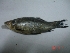  ( - STND04)  @12 [ ] Unspecified (default): All Rights Reserved  Unspecified Unspecified