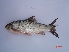  ( - PSPA01)  @13 [ ] Unspecified (default): All Rights Reserved  Unspecified Unspecified