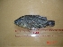  ( - OMGD02)  @12 [ ] Unspecified (default): All Rights Reserved  Unspecified Unspecified