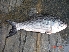  ( - CCND02)  @13 [ ] Unspecified (default): All Rights Reserved  Unspecified Unspecified
