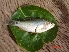 ( - CLND01)  @12 [ ] Unspecified (default): All Rights Reserved  Unspecified Unspecified