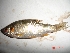  ( - CLPA07)  @12 [ ] Unspecified (default): All Rights Reserved  Unspecified Unspecified