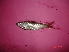  ( - CMND03)  @13 [ ] Unspecified (default): All Rights Reserved  Unspecified Unspecified
