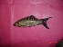  ( - CNPA02)  @12 [ ] Unspecified (default): All Rights Reserved  Unspecified Unspecified
