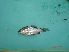  ( - CNPO01)  @12 [ ] Unspecified (default): All Rights Reserved  Unspecified Unspecified