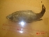  ( - LCBS03.2)  @12 [ ] Unspecified (default): All Rights Reserved  Unspecified Unspecified
