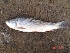  ( - JCYN04)  @13 [ ] Unspecified (default): All Rights Reserved  Unspecified Unspecified