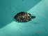  ( - KNA01)  @12 [ ] Unspecified (default): All Rights Reserved  Unspecified Unspecified