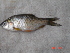  ( - LBPA02)  @12 [ ] Unspecified (default): All Rights Reserved  Unspecified Unspecified