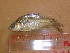  ( - LBPA03)  @12 [ ] Unspecified (default): All Rights Reserved  Unspecified Unspecified