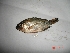  ( - OMND04)  @12 [ ] Unspecified (default): All Rights Reserved  Unspecified Unspecified