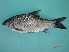  ( - LBPA04)  @13 [ ] Unspecified (default): All Rights Reserved  Unspecified Unspecified