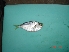  (Secutor indicius - SIYN01)  @12 [ ] Unspecified (default): All Rights Reserved  Unspecified Unspecified