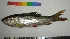  ( - LRPO04)  @13 [ ] CreativeCommons - Attribution Share-Alike (2012) Vikas Kalyankar Paul Hebert Centre for DNA Barcoding and Biodiversity Studies