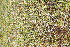  ( - ABSDA-74)  @11 [ ] No Rights Reserved  NO NO