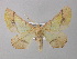  ( - BC ZSM Lep 00334)  @14 [ ] CreativeCommons - Attribution Non-Commercial Share-Alike (2010) Unspecified SNSB, Zoologische Staatssammlung Muenchen